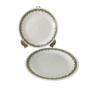 Vtg Corelle Spring Blossom Green Crazy Daisy Dinner Plates 10.5 inch Set 2 1970s